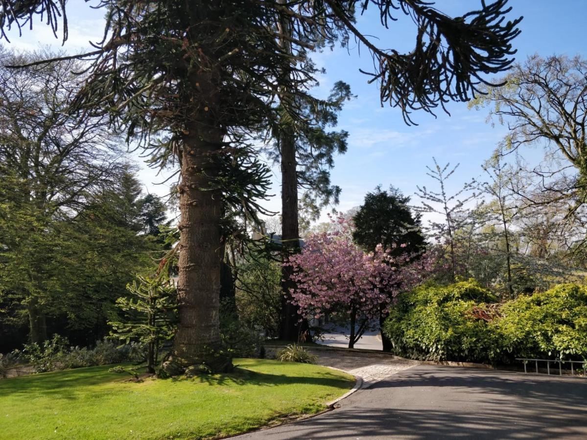 Banoge House Hotell Donaghcloney Eksteriør bilde