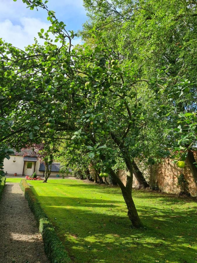 Banoge House Hotell Donaghcloney Eksteriør bilde